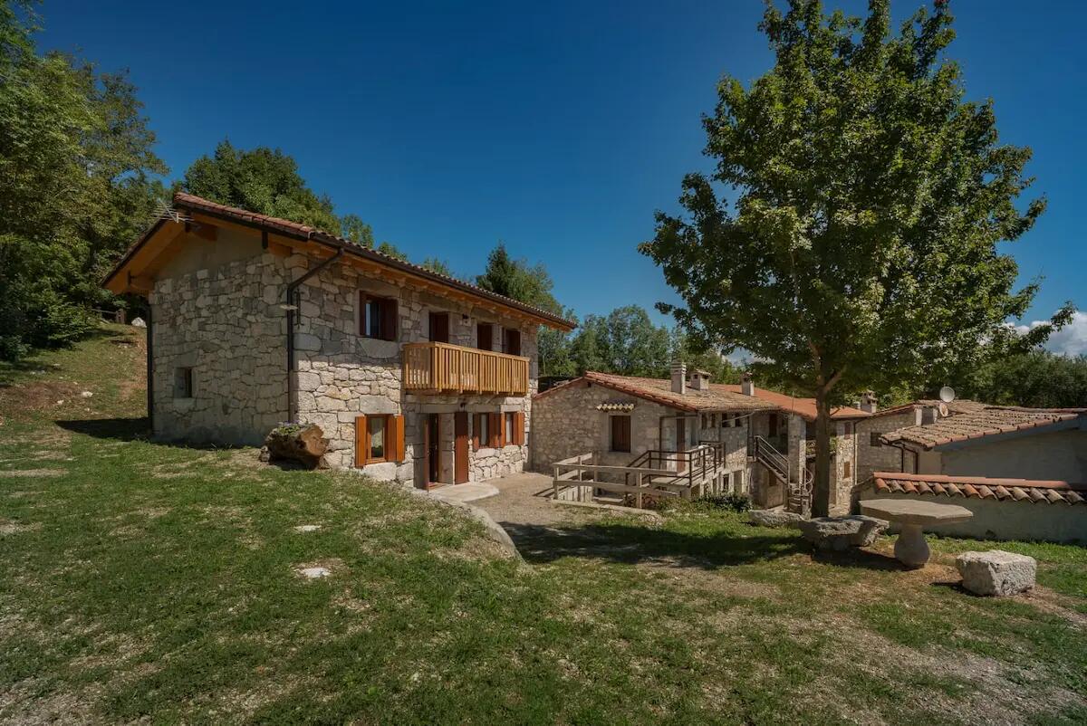 I grifoni visti da vicino, a Monte Prat la nuova proposta della Riserva di Cornino - 