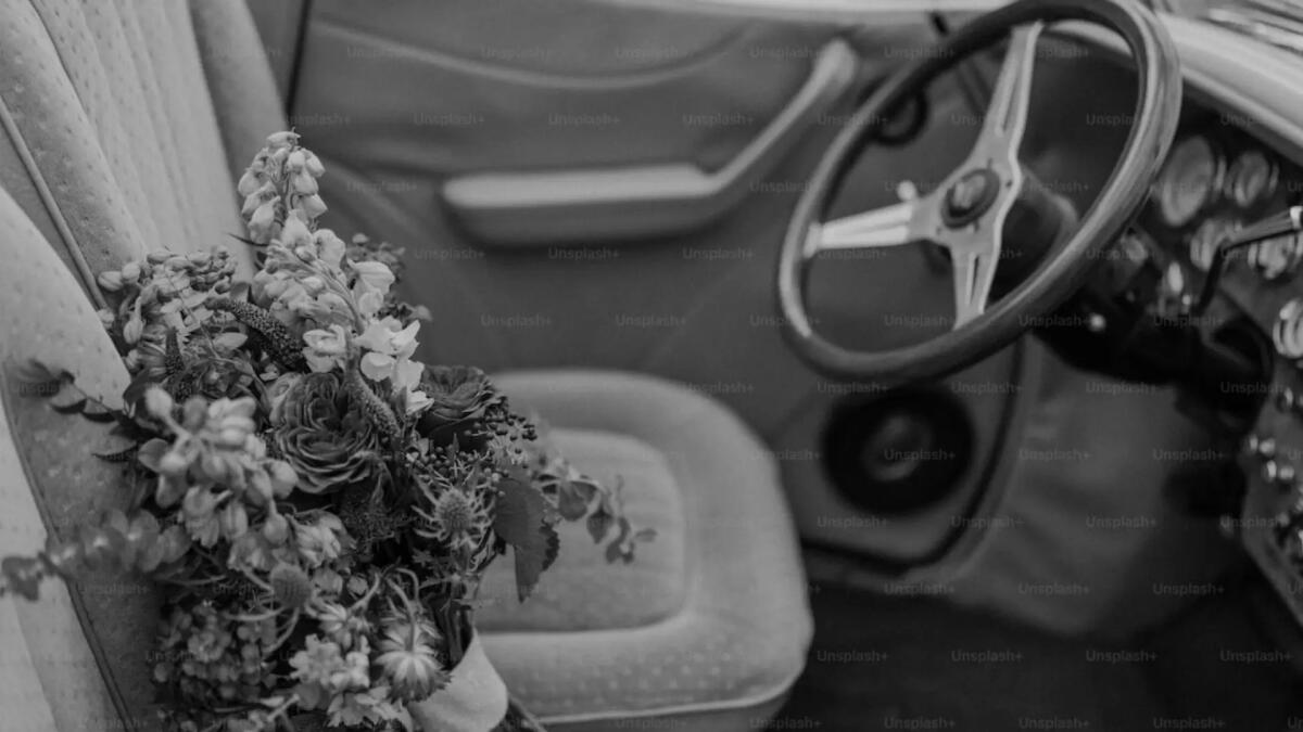 Carta Verde: tutto ciò che bisogna sapere per viaggiare all'estero con la propria auto - 