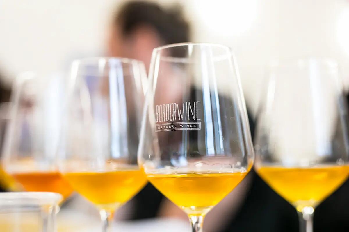 Torna il Salone transfrontaliero del Vino Naturale Borderwine a Villa Manin - 