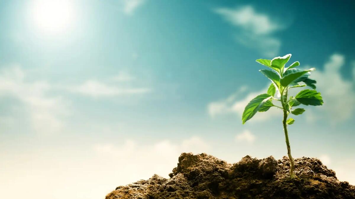 Crisi climatica e bisogno di energie rinnovabili - 