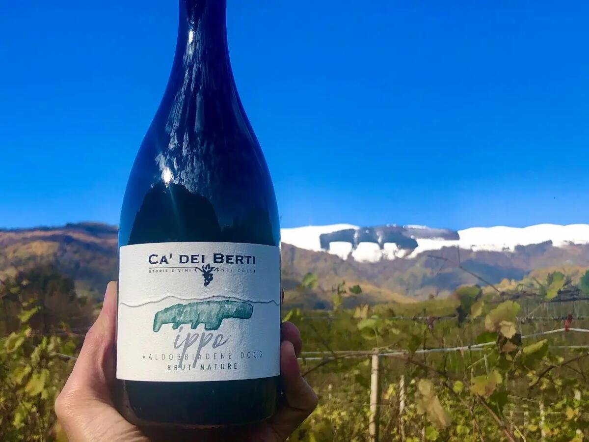 Agenzia trevigiana vince il primo premio a Napoli Ippo, il simbolo delle colline del prosecco -