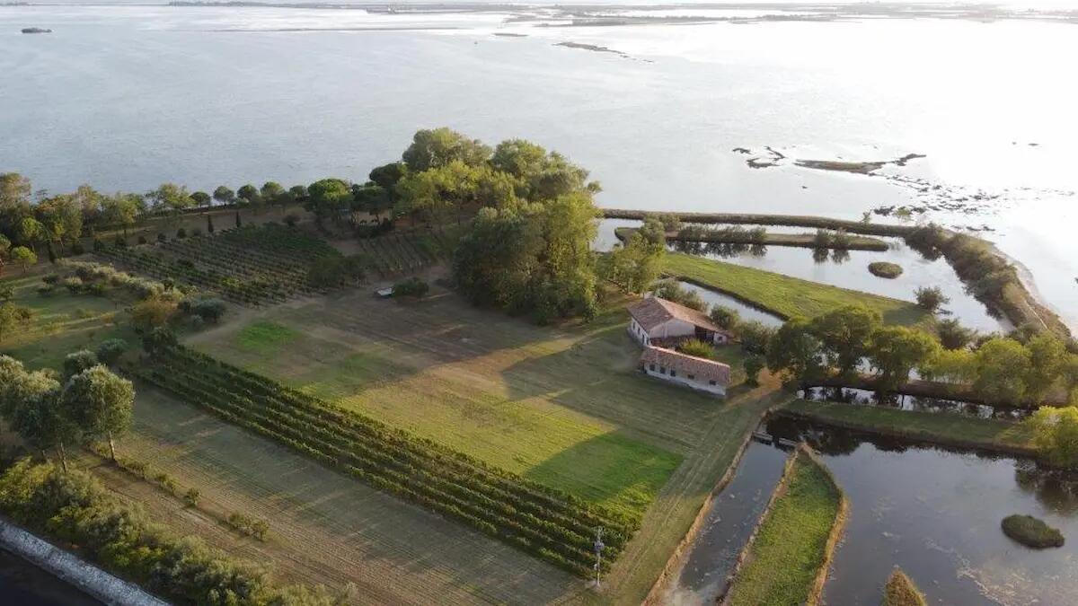 Grado estate 2023, isola in movimento - 