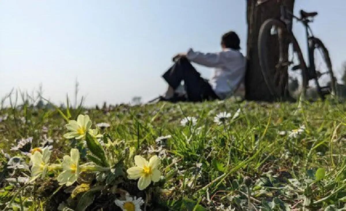 Casarsa, a luglio film per tutte le età evento speciale su Pasolini - 