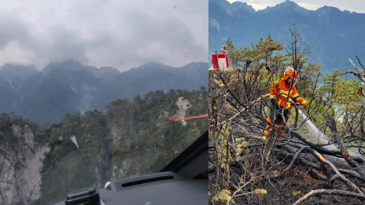 Domato l'incendio boschivo in quota a Malborghetto Valbruna - 