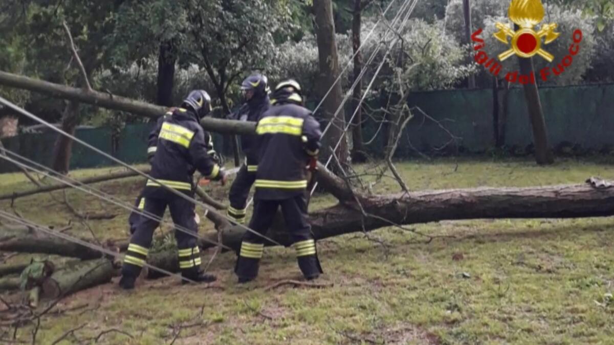 Maltempo, violento temporale sulla Marca: allagamenti e alberi a terra nella Pedemontana - 