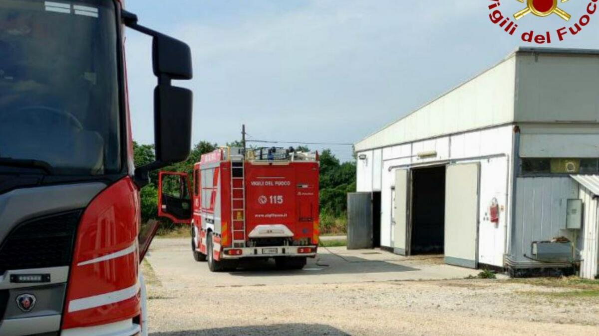 Montereale Valcellina, incendio al quadro elettrico in un'azienda ovicola: animali in salvo - 