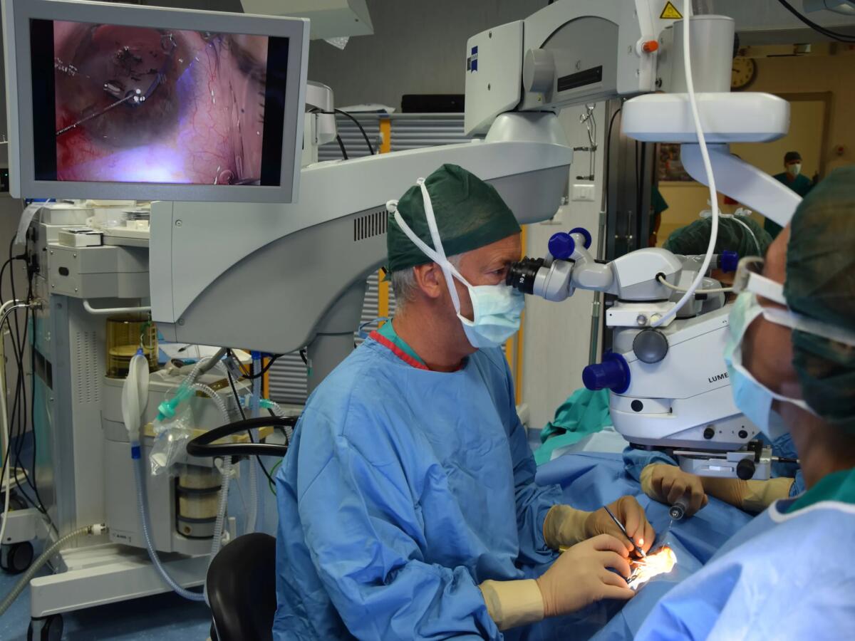 Specialisti della retina da tutto il mondo riuniti a Trieste - 