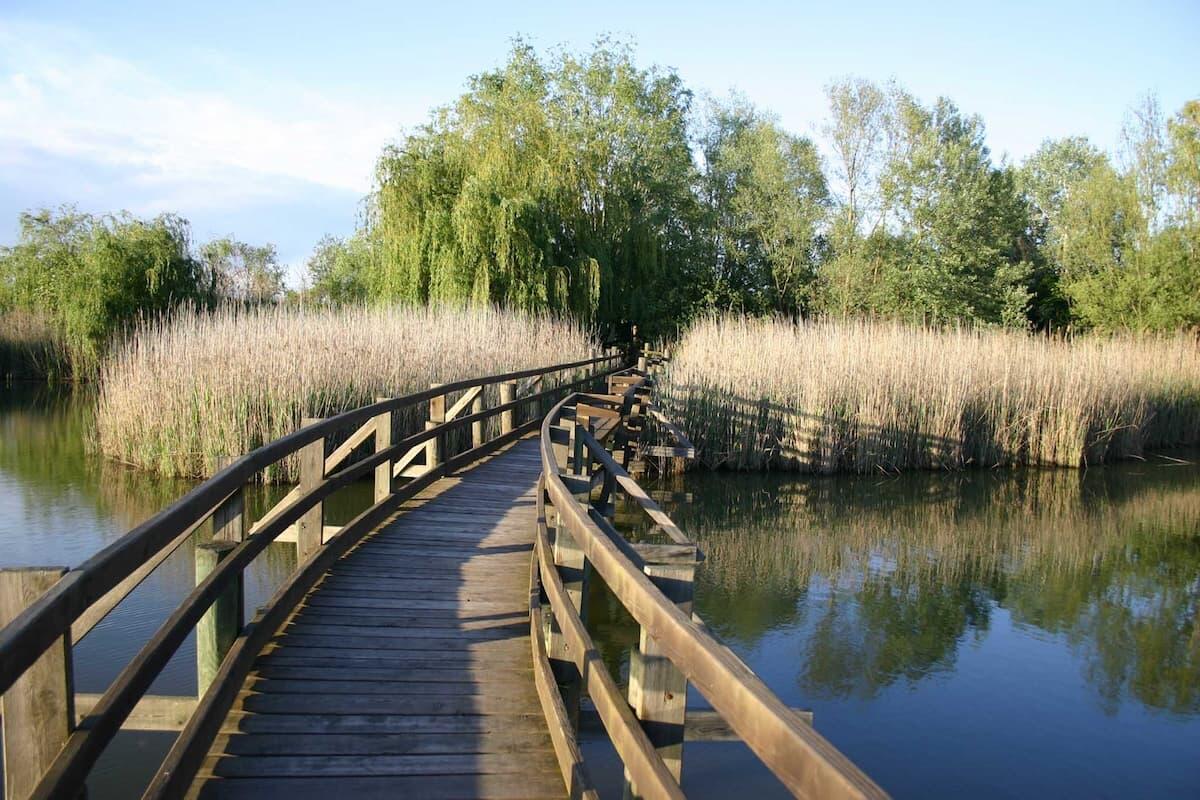 A Marano Lagunare inizia il Festival Teatri dell’Anima - 