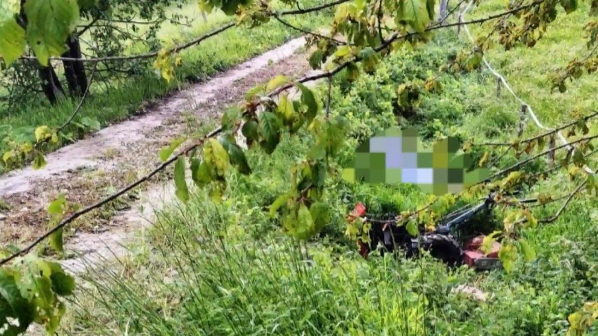 Agricoltore sfalcia l'erba: colto da malore si accascia e muore - 