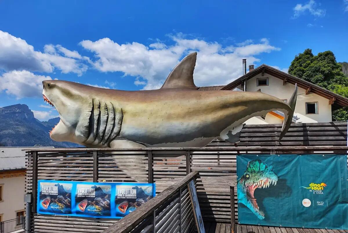 Domani l'inaugurazione della mostra "Evolution, Storie di cambiamento" a Selva di Cadore, Belluno -