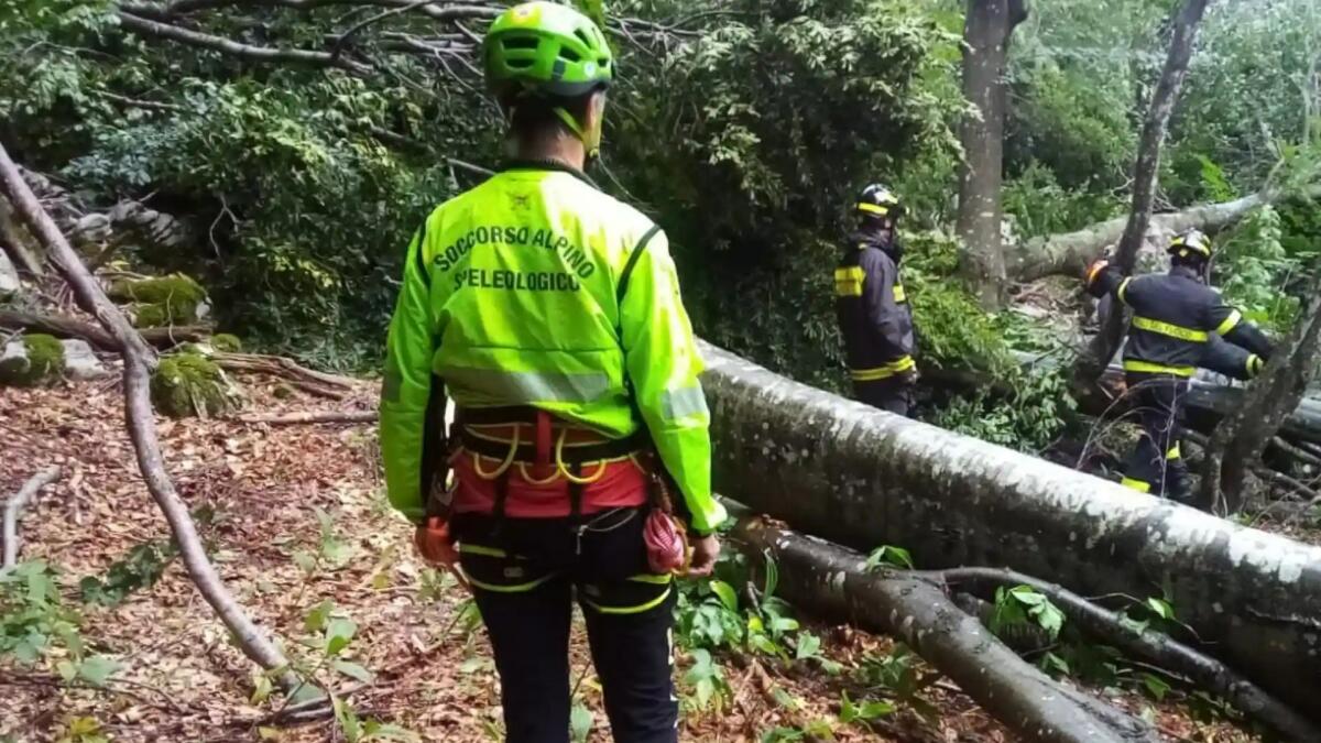 Travolto da un tronco mentre taglia la legna a Savogna: ferito 54enne - 