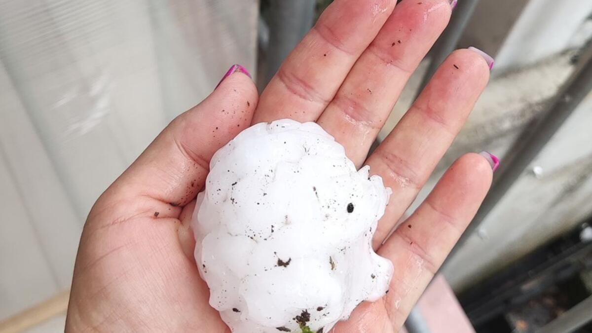 Violenta grandinata nel Trevigiano: chicchi grossi come palle da baseball - 