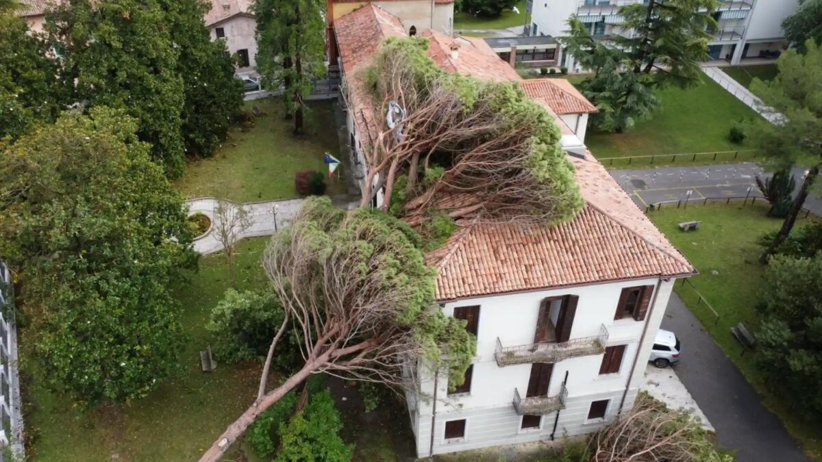 Maltempo nel Portogruarese, alla Francescon sradicati 7 alberi - 