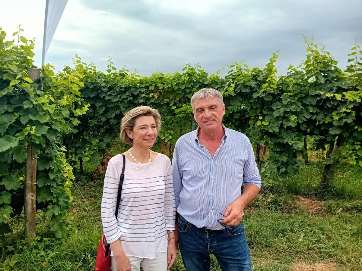 Marca al primo posto in Europa per uso macchine a recupero in agricoltura -