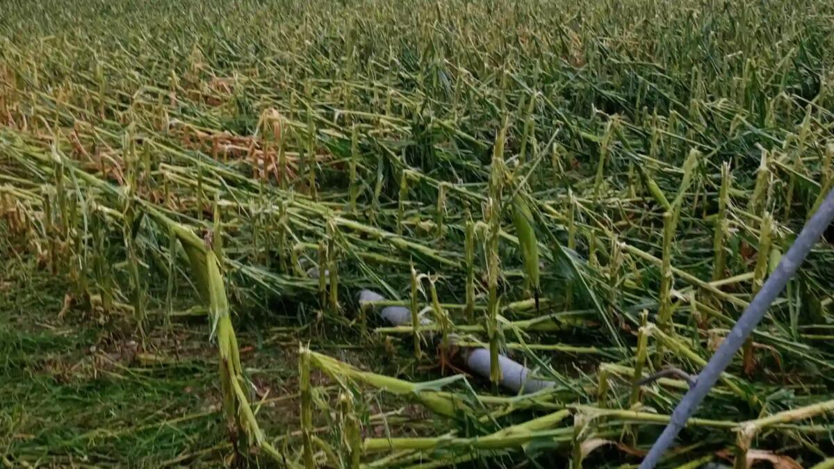 Maltempo, chiesta la sospensione delle rate di mutui e prestiti in Friuli Venezia Giulia - 