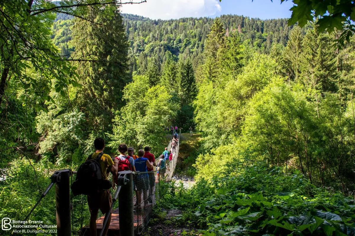 Le passeggiate letterarie targate Estensioni, alla scoperta della Val Pesarina - 