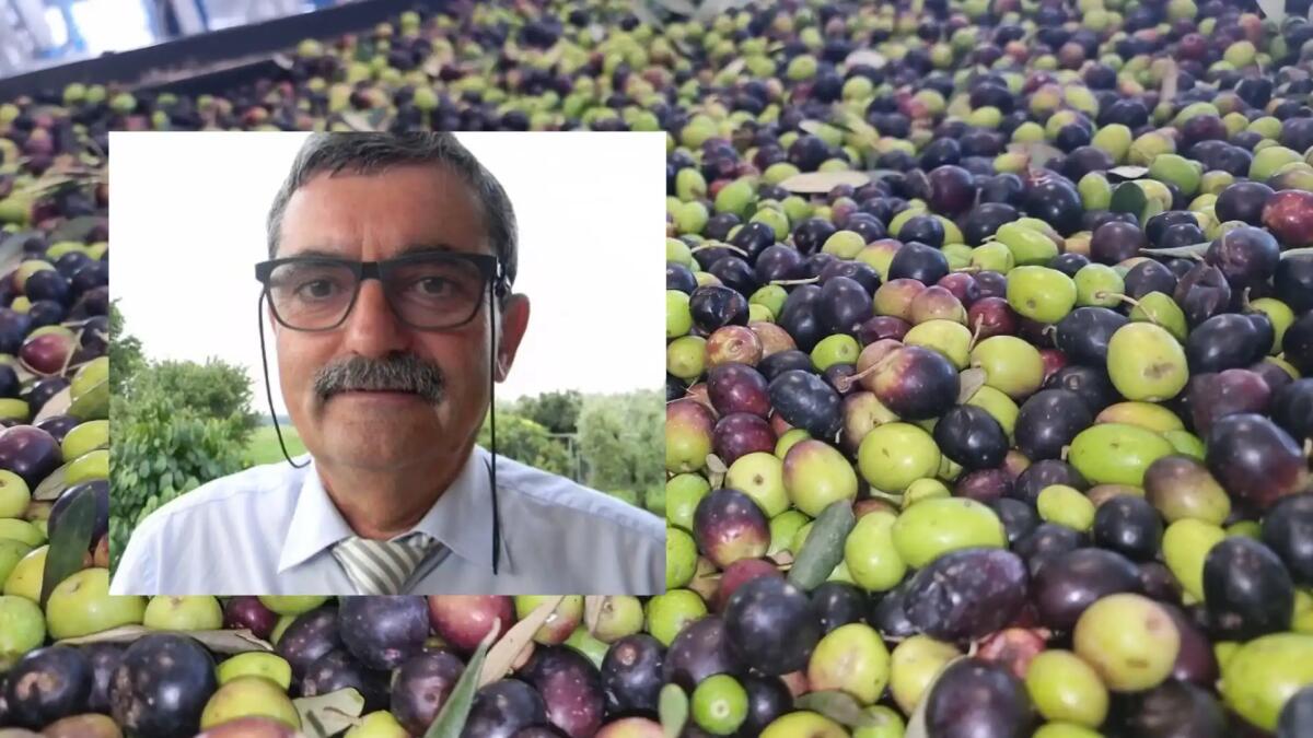 Il Consorzio Produttori di olio Evo Fvg presenta il suo nuovo Frantoio 4.0 - 