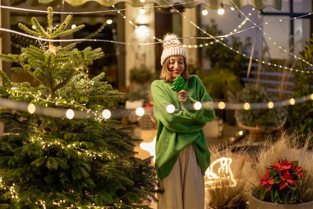 Luci di Natale: idee creative per decorare casa tutto l'anno con luce festiva - 