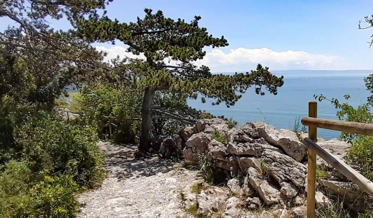 10 escursioni e passeggiate mozzafiato da fare in Friuli Venezia Giulia - 
