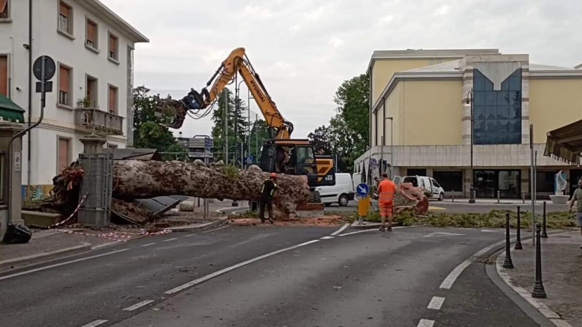 Maltempo in Friuli Venezia Giulia, danni ingenti in moltissimi comuni -