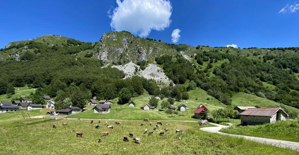 “Vieni a vivere e lavorare in montagna”, opportunità per chi ospita e per chi arriva - 