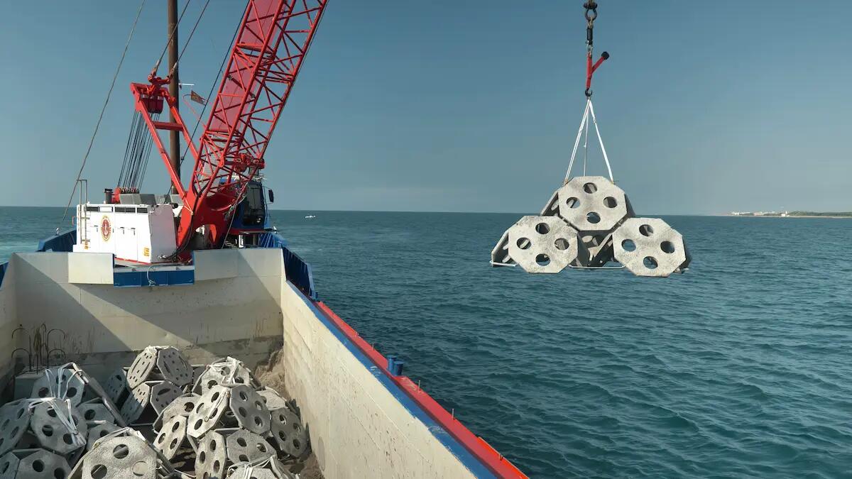 Confcooperative Fvg, una nuova casa per pesci, crostacei e molluschi con le piramidi sottomarine - 