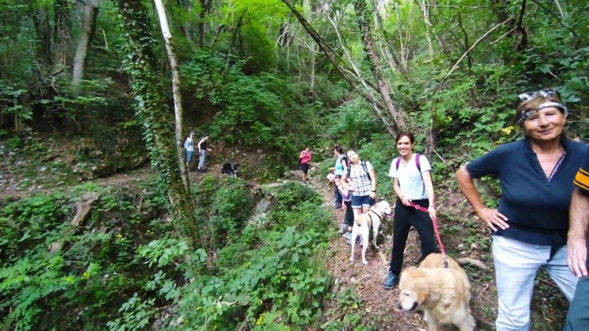 Anello della Strega e delle Agane: a Subit di Attimis la suggestiva escursione, domenica 6 agosto - 