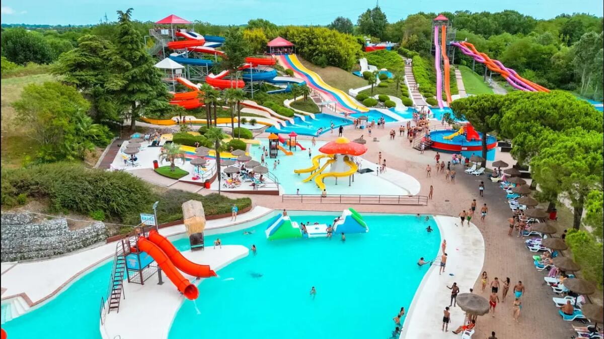 Padovaland, il parco acquatico dog friendly apre i chiringuiti per i padroni -