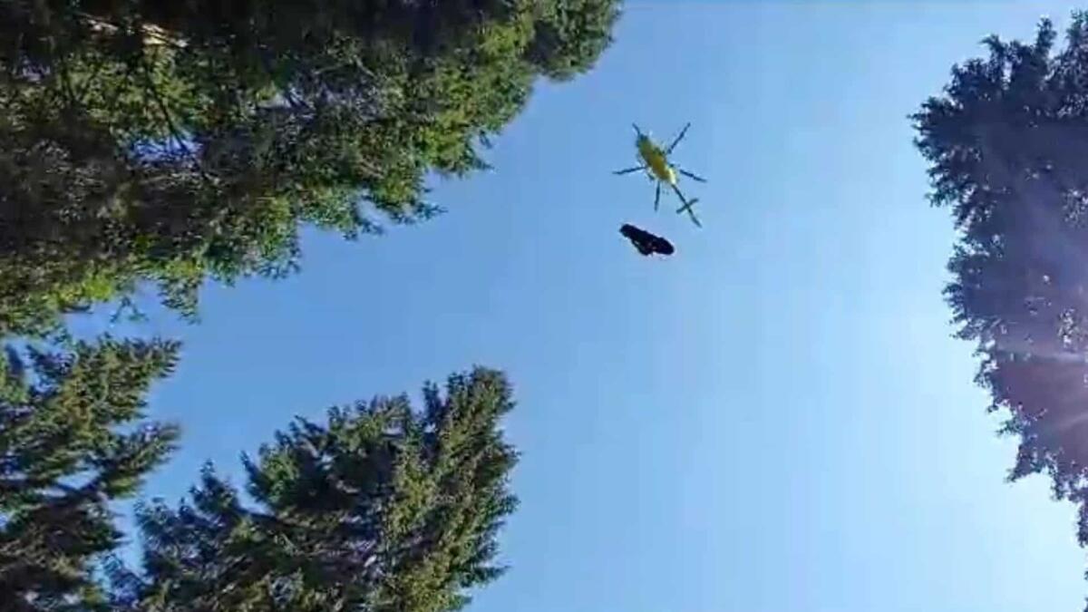 Cinque interventi di soccorso sui monti dal Lussari al Varmost - 