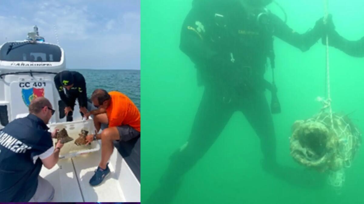 Archeologia sommersa a Grado: recuperati decine di reperti dell’antica Aquileia - 