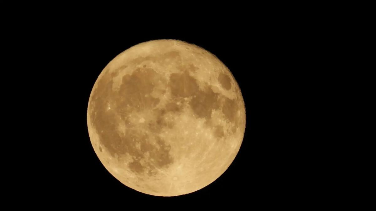 Oggi la Luna Piena: a che ora vedere la "Superluna dello Storione" - 