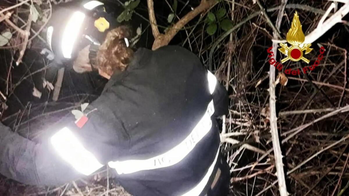 Si perdono nel bosco con il buio e rimangono intrappolati tra i rovi - 