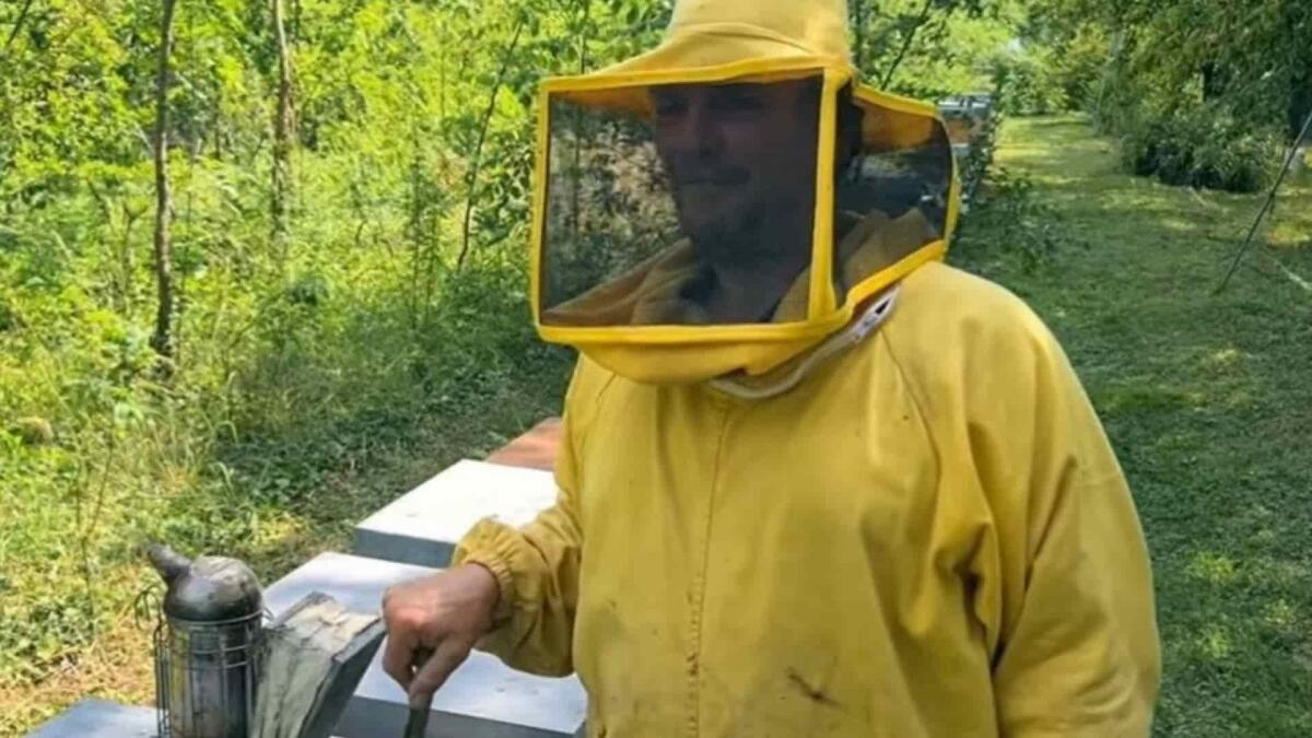 Malore nella notte, addio al 52enne Giorgio Della Vedova: era l'anima dell'apicoltura friulana - 