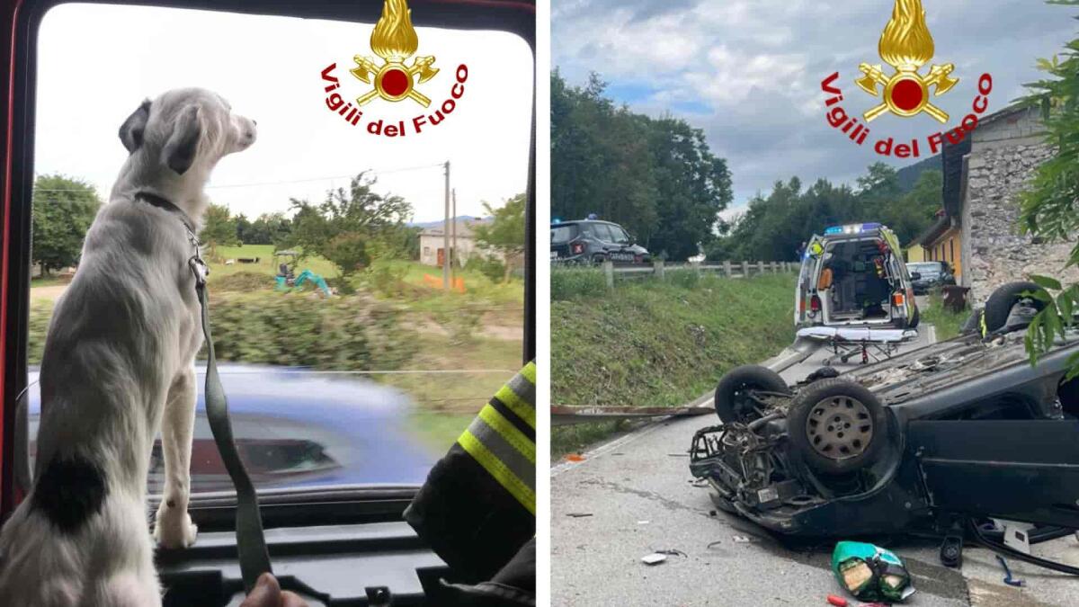 Finisce fuori strada con l'auto e si ribalta: morto 52enne, in salvo il cane - 