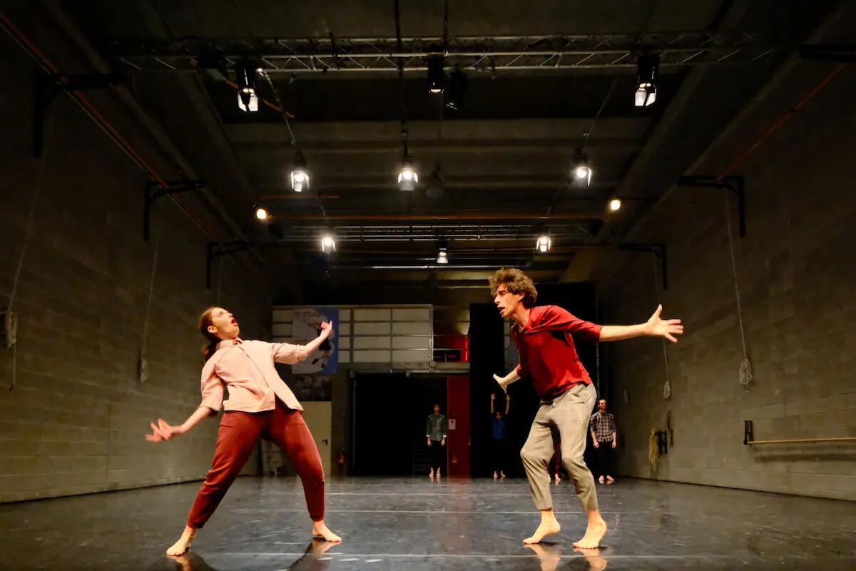 Torna, rinnovato, il corso di Alta Formazione di Arearea - 