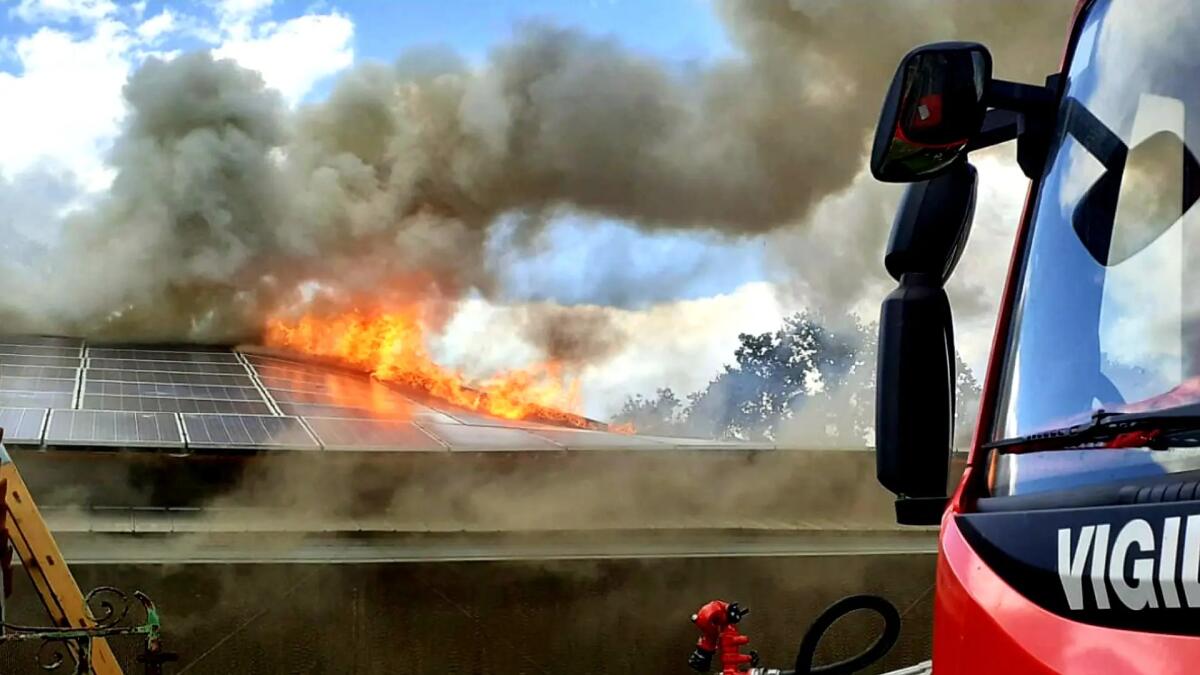Fiamme alte dai pannelli fotovoltaici dell'allevamento: morte decine di migliaia di galline - 