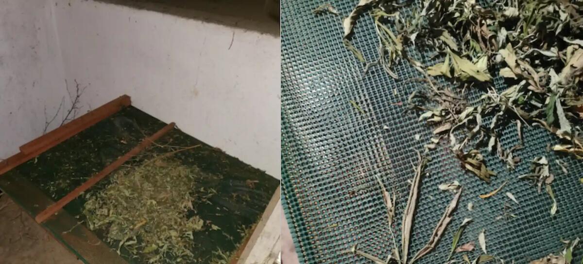 Tolmezzo, identificato il responsabile di un furto in autostazione -