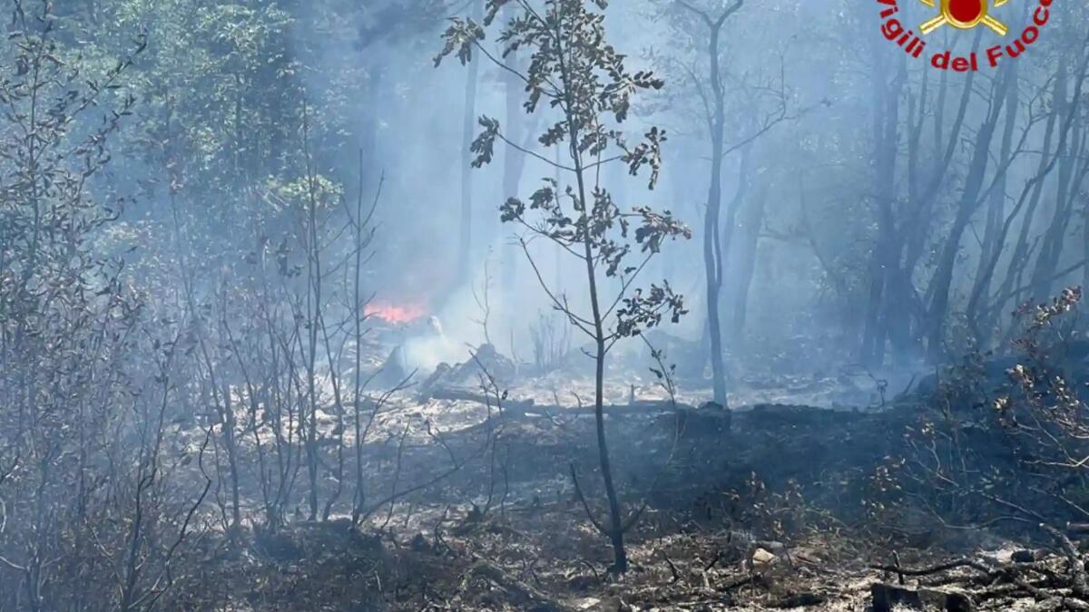 Bruciano i boschi a Duino Aurisina: fiamme domate dai pompieri -