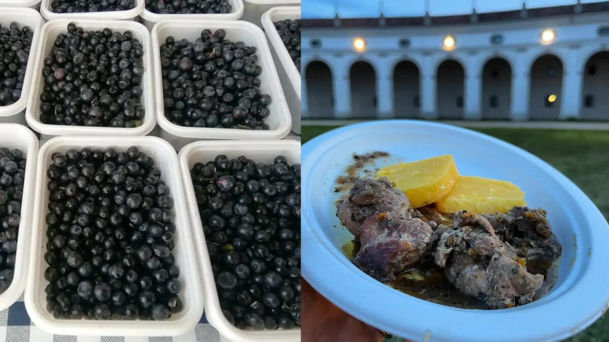 Sagre di Ferragosto in Friuli Venezia Giulia: ecco la lunga serie di eventi - 