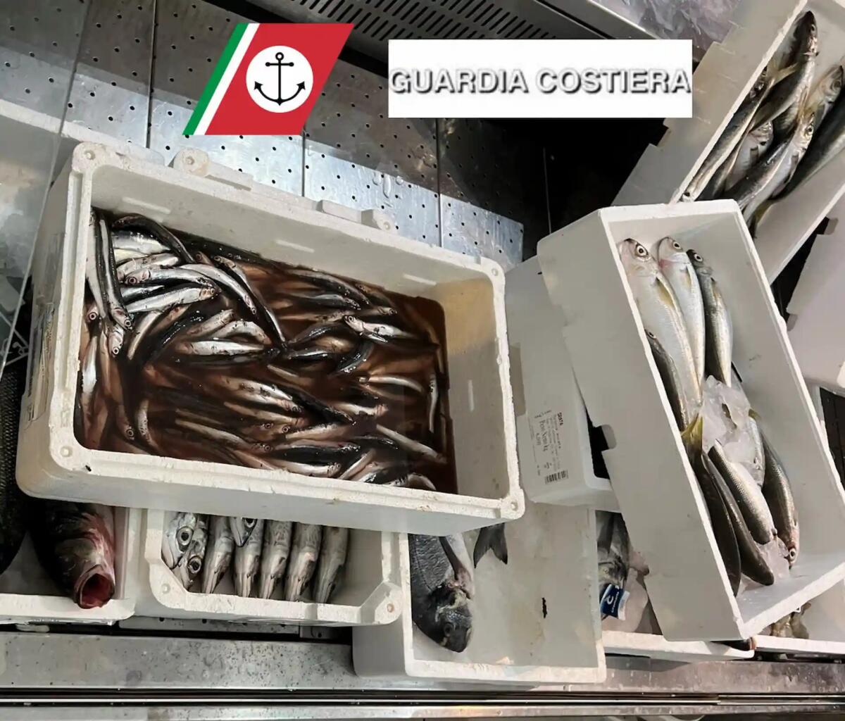 Monfalcone. Carenze igienico sanitarie e pesce mal conservato: chiusa una pescheria in centro - 