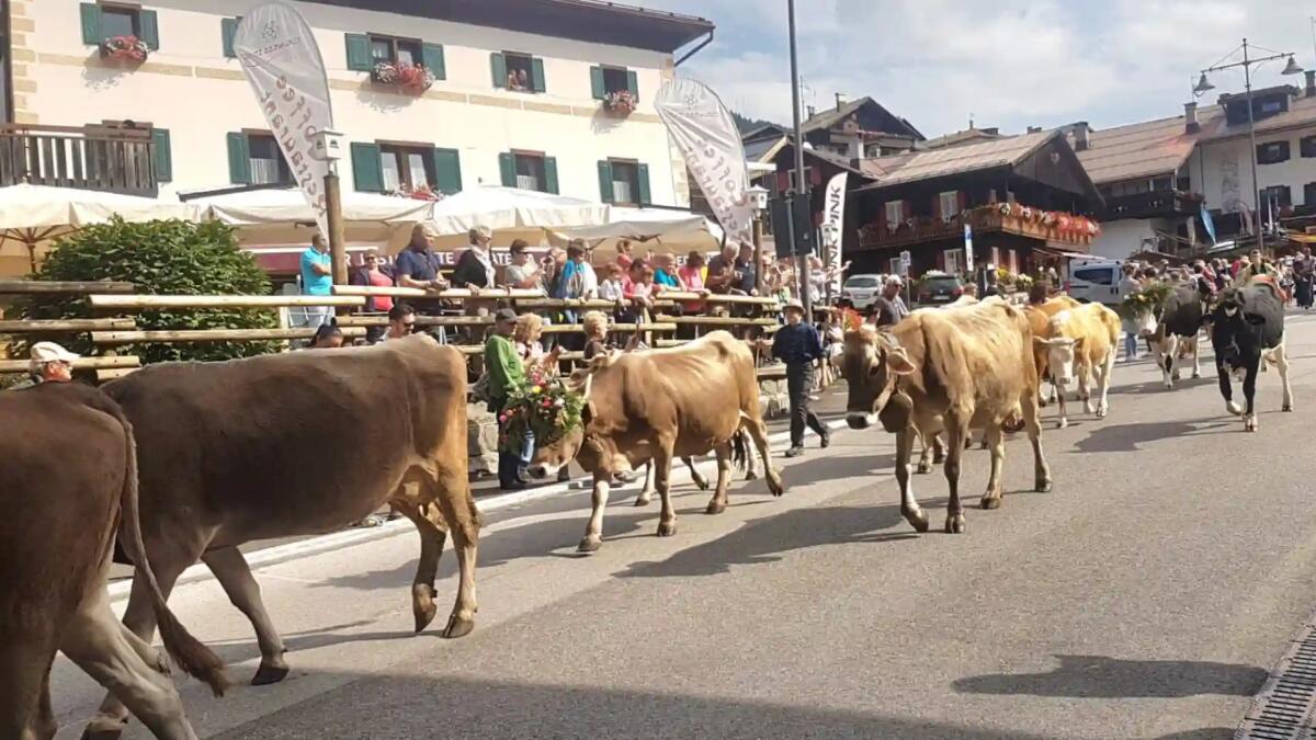 Week end a Sappada con Sappamukki, il défilé più atteso che chiude la stagione estiva della località montana - 