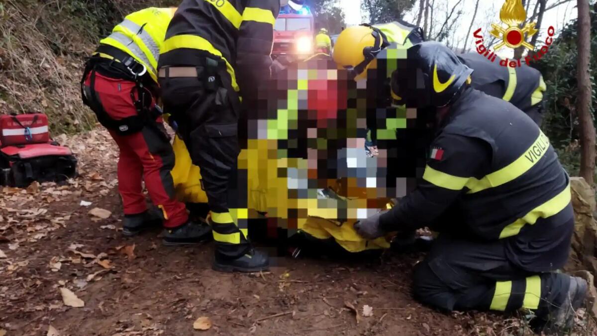 Colto da malore nel bosco mentre fa legna: deceduto un uomo - 