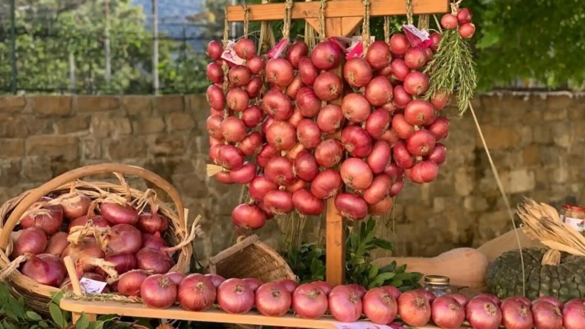 Cavasso Nuovo, la cipolla rossa protagonista di un grande weekend - 