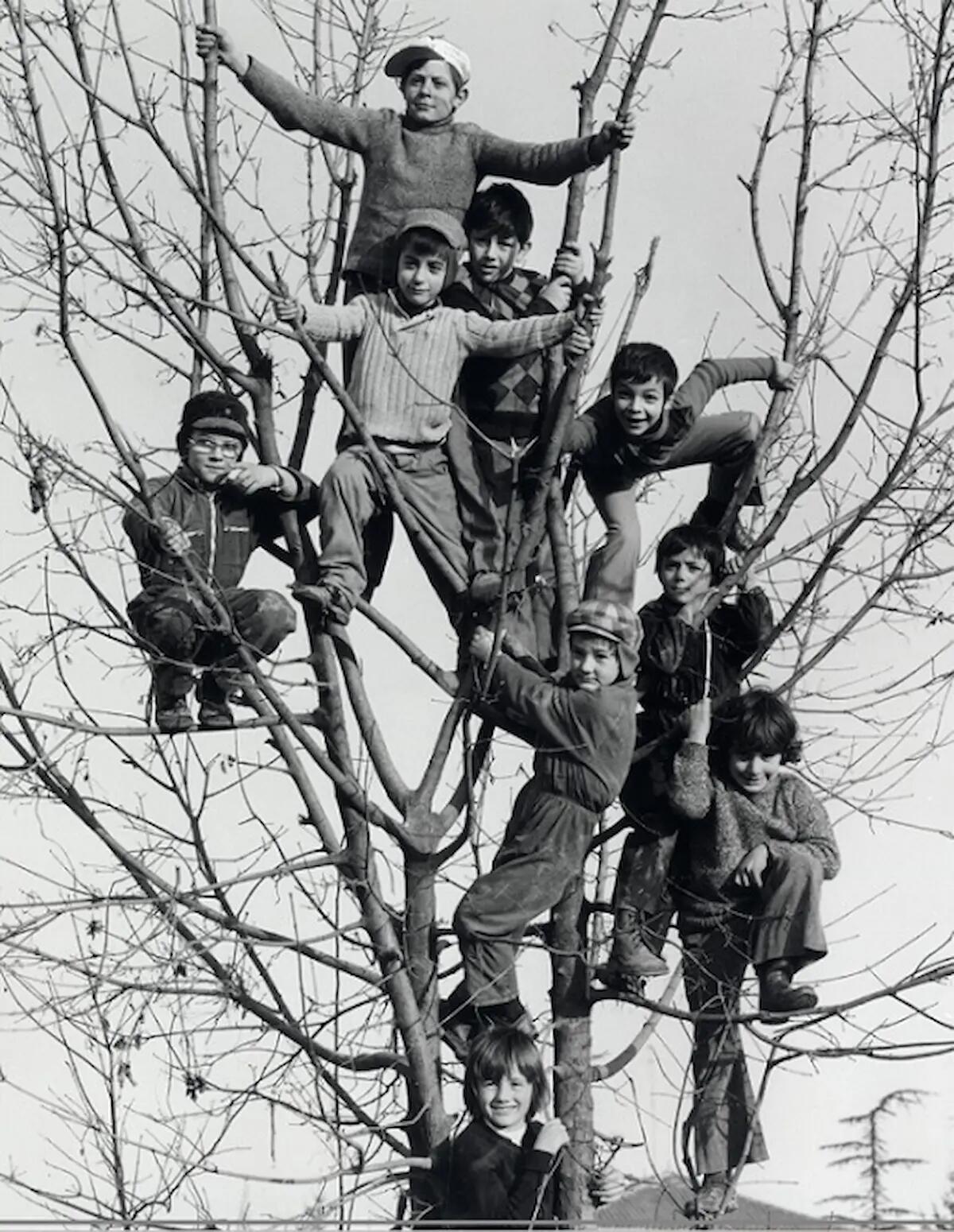 San Vito al Tagliamento, arriva la mostra "Gianenrico Vendramin. Fotografare il futuro" - 