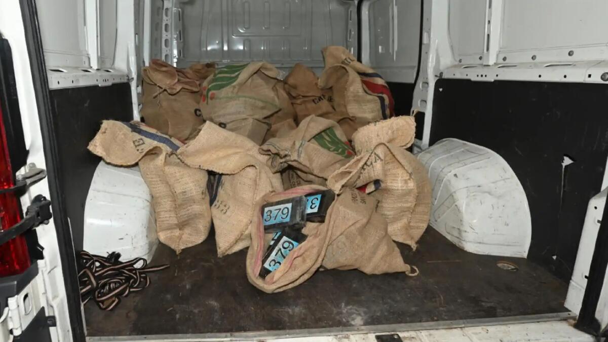 Sequestrati oltre 700 kg di cocaina e 700mila euro in contanti: 21 arresti - 