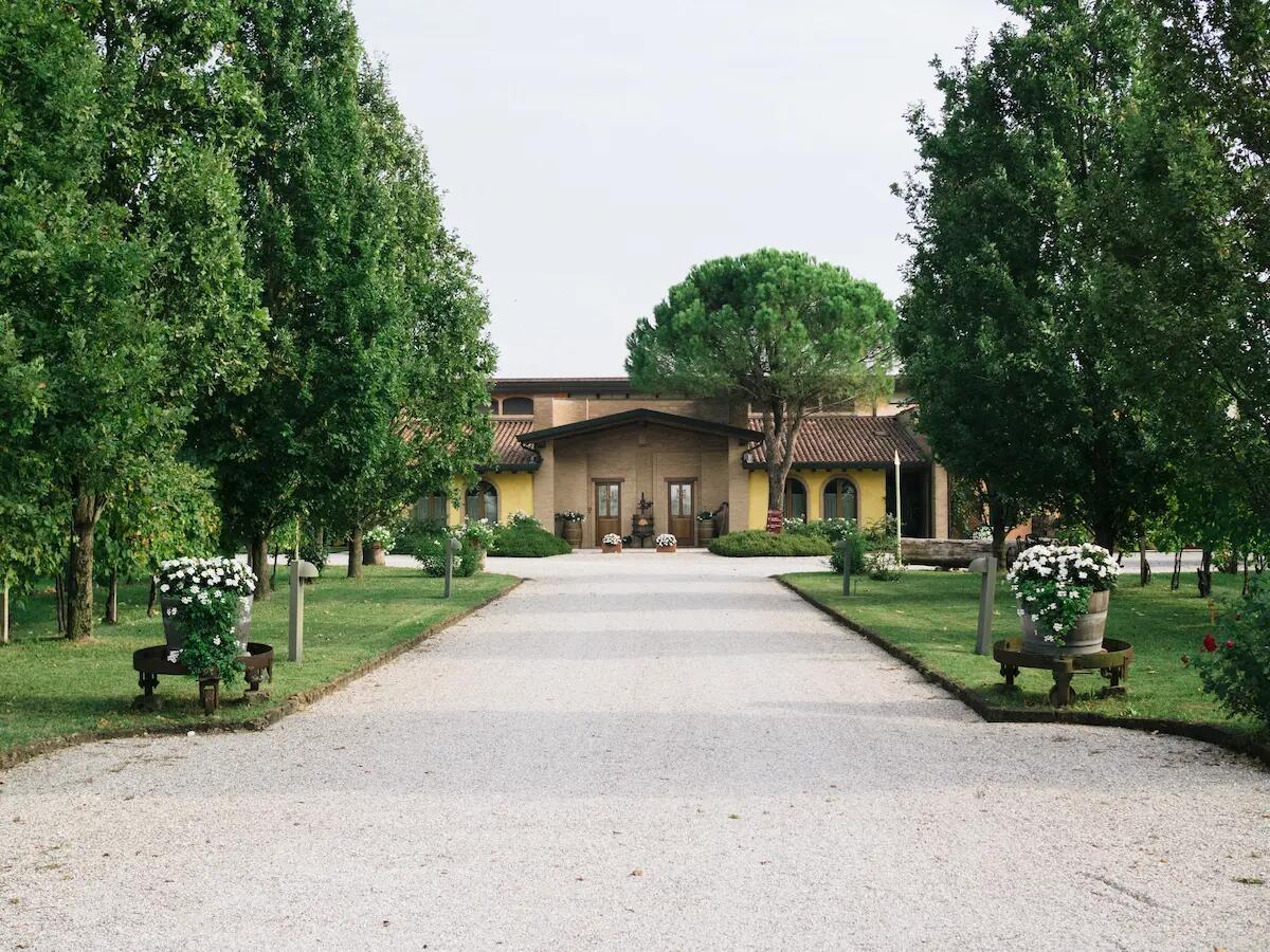 Origini antiche per il Sauvignon blanc Bosco della Donna di Stajnbech -