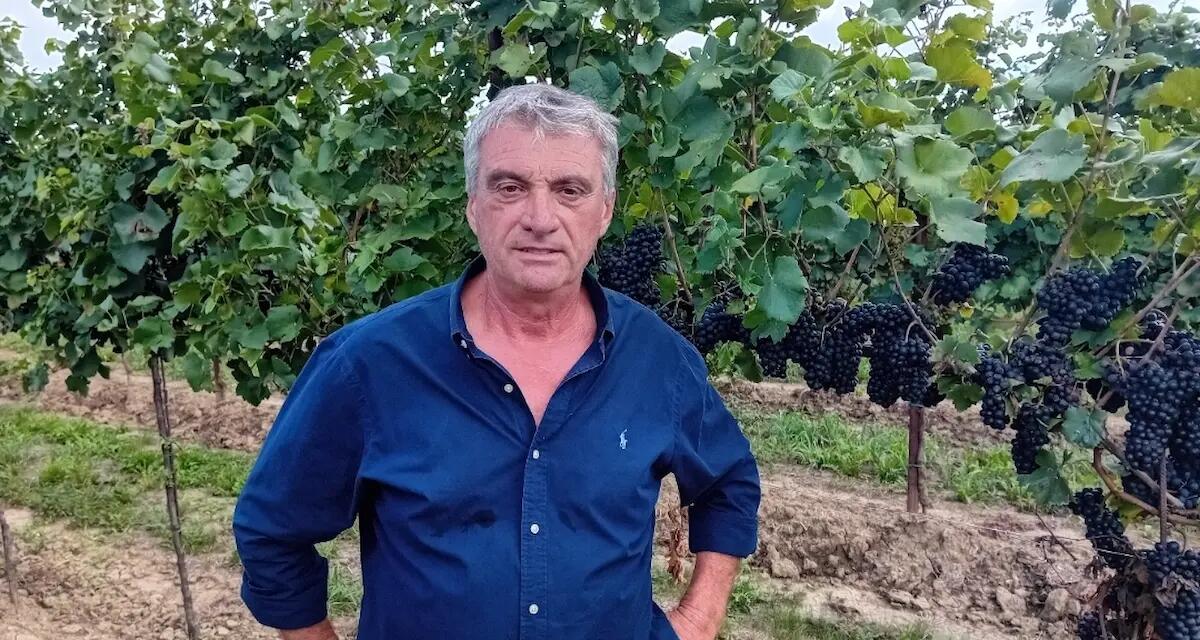 Jesolo, un 2023 da incorniciare per il Prosecco - 