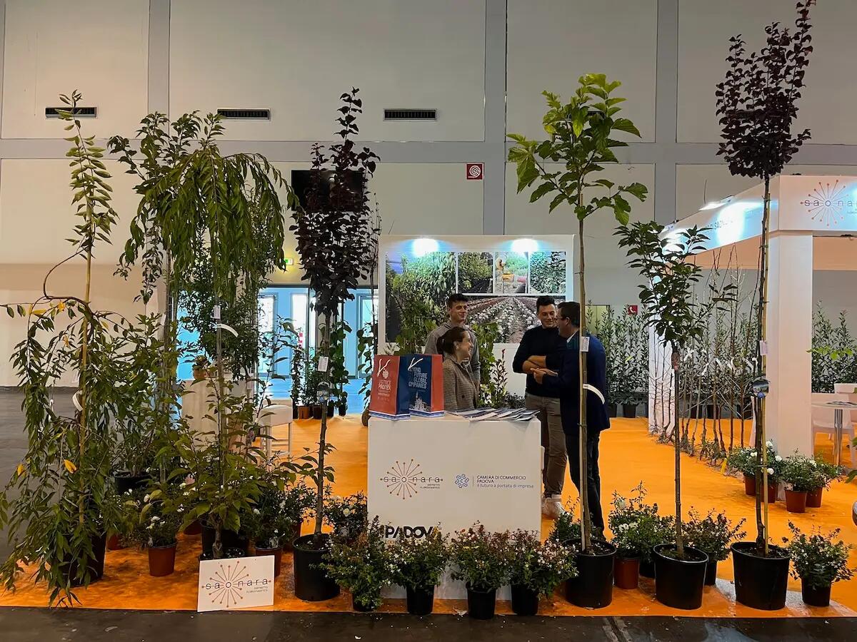 Florovivaismo veneto, l'export fa un balzo del 24%, il Distretto di Saonara si apre ai mercati esteri - 