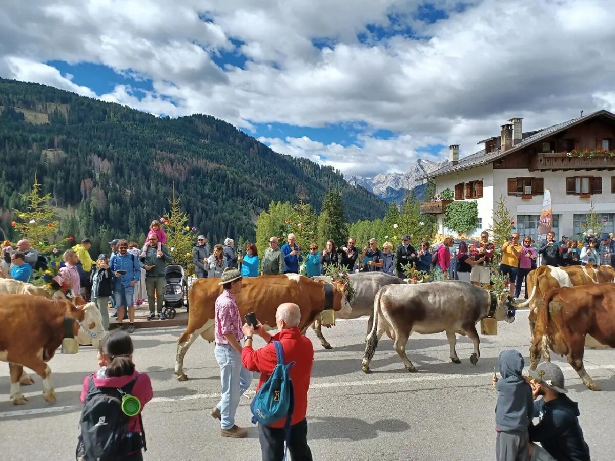 Weekend imperdibile a Selva di Cadore, Belluno, la mostra "Evolution" - 