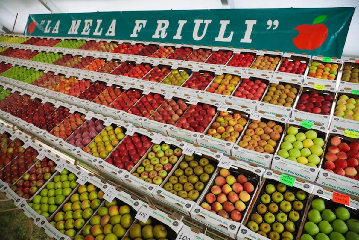 Mostra regionale della mela di Pantianicco, al via il primo weekend - 